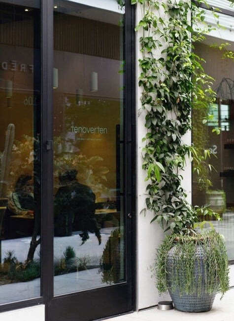 Jaclyn Ferber - The Particulars