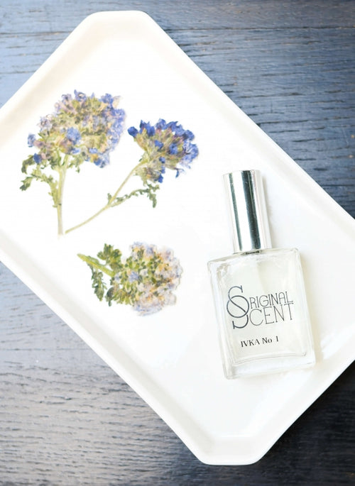 Ivka Adam - The Particulars