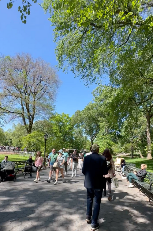 Particular Travel Guide: New York City - The Particulars